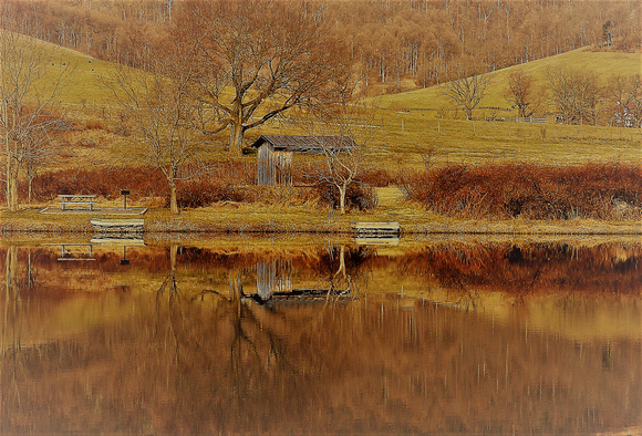 horizontal tree and bench reflection