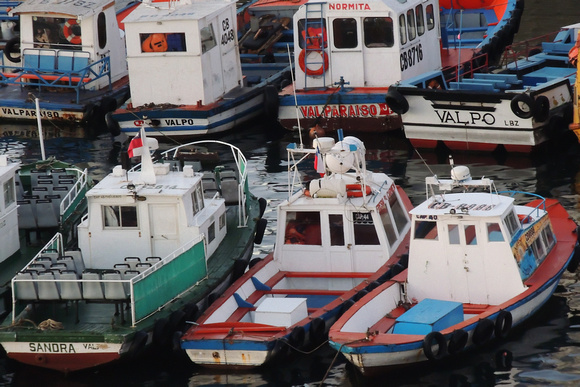 Valpariso Fishing Fleet