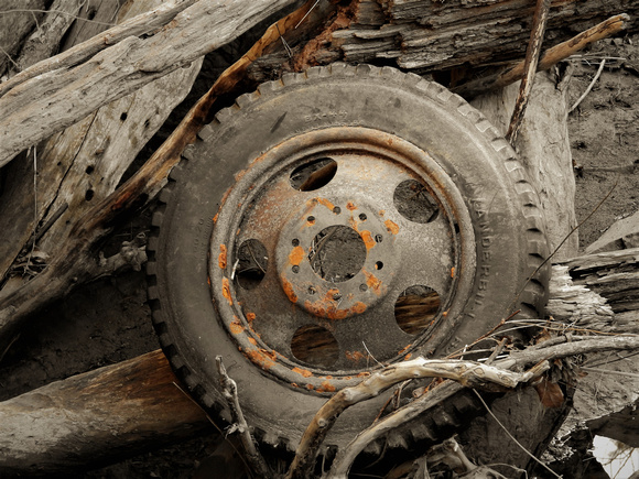 Wheel and driftwood